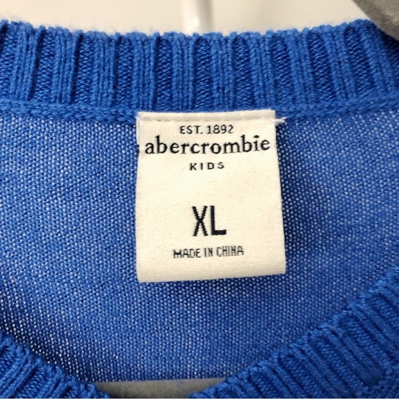 NWT Abercrombie & Fitch Relaxed Fit Casual Royal Blue V Neck Long Sleeve Sweater - Picture 3 of 14